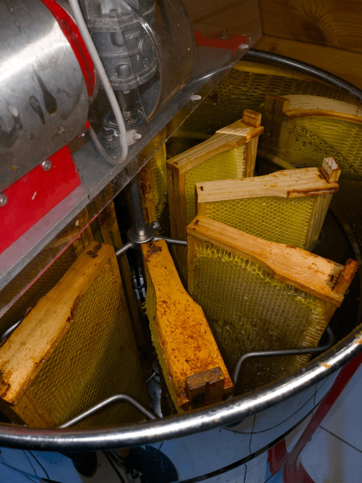 Extraction du miel à la centrifugeuse